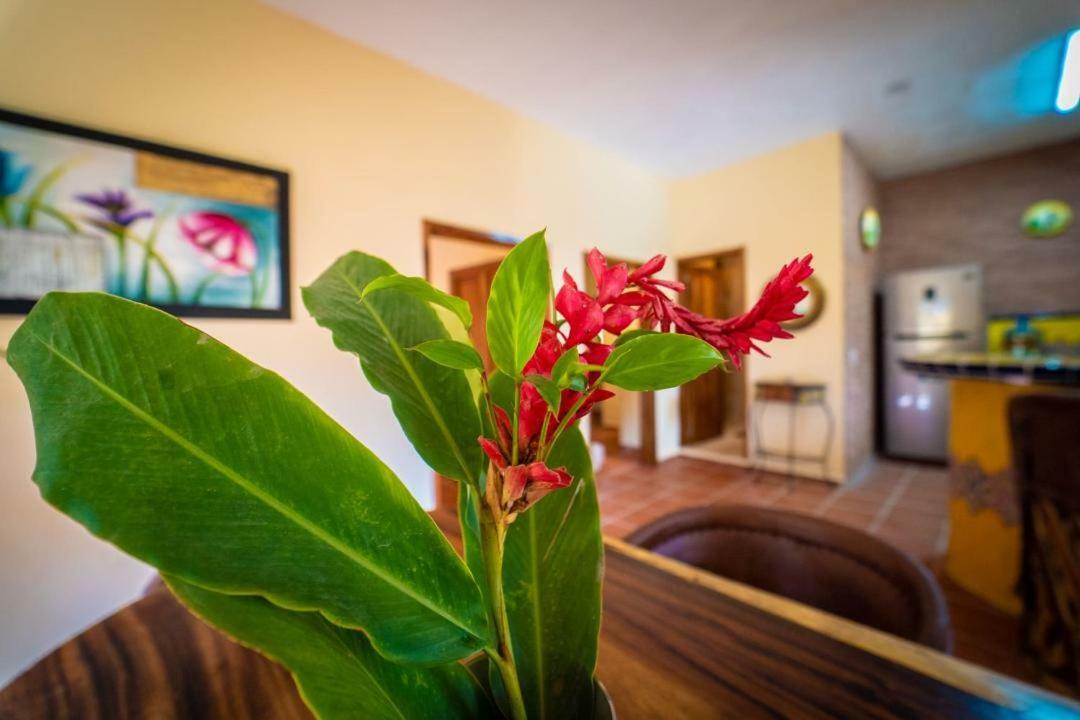 Casa Palmito Cerca De La Playa Villa Yelapa Buitenkant foto